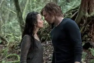 热播美剧绿箭侠arrows01e20最新剧情homeinvasion
