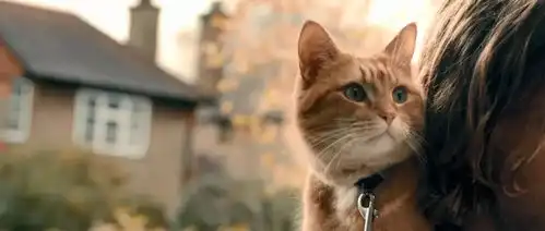 有一种毒品,我愿年年吸,月月吸,日日吸