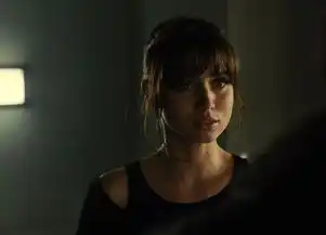 如何评价电影银翼杀手2049
