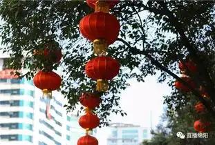 年味渐浓城区大红灯笼高高挂
