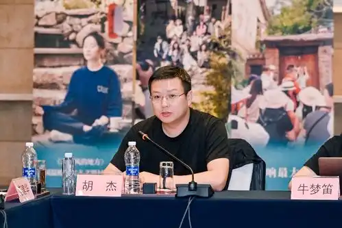 探索中国影视创作生产新风向电视剧去有风的地方研讨会在京举行