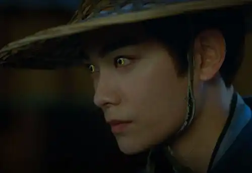 起猛了猫猫爆改神探丁禹兮新剧有点东西