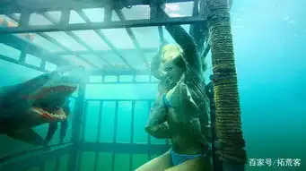 几部经典的鲨鱼灾难片,李冰冰主演的巨齿鲨上榜