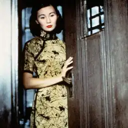 张曼玉旗袍,花样年华大卖点2
