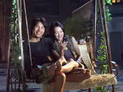 鸳鸯蝴蝶官方剧照
