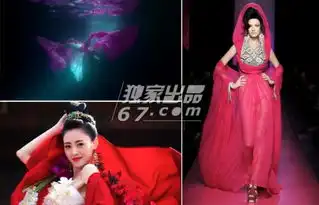 太子妃升职记有毒奇葩造型来头不小齐晟背的是战旗
