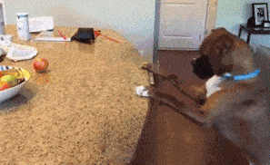 当一个女孩子很长时间没有男朋友时
