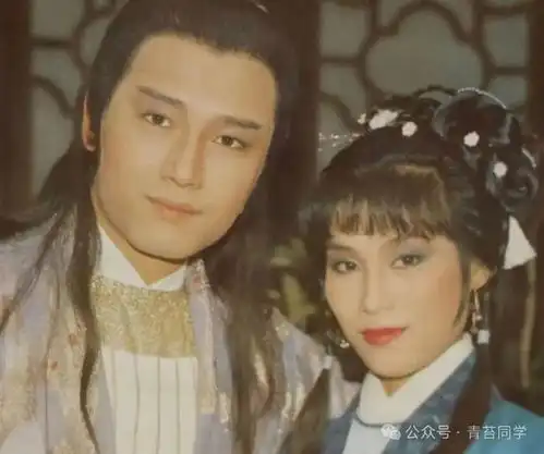 张嘉译的宋思明,高宏亮的贾琏,苗侨伟的杨康,盘点经典影视中让人恨不起来的反派