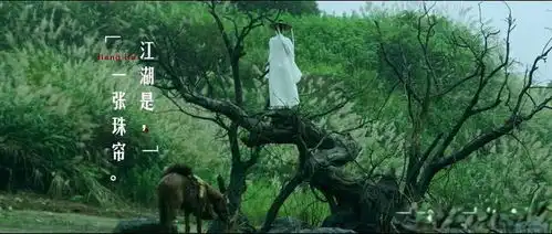 徐凤年红颜榜姜泥可爱,南宫飒爽,青鸟忠诚,你磕哪对cp