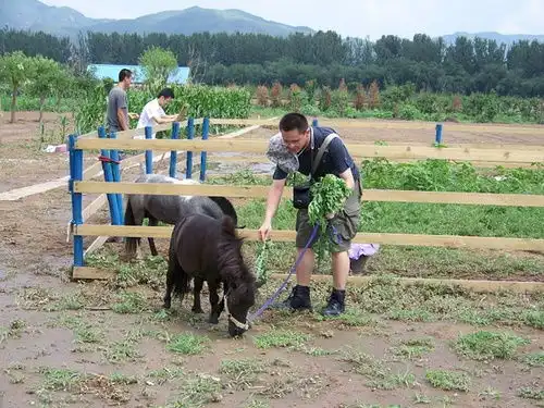 新增一系列图翁斐然这张照片有没有当年小嬴政的感觉
