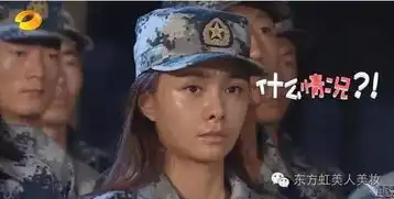 从县花到台花,沈梦辰的走红之路其实很励志