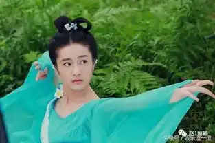 赵丽颖不能参演花千骨2的拍摄,原因竟如此