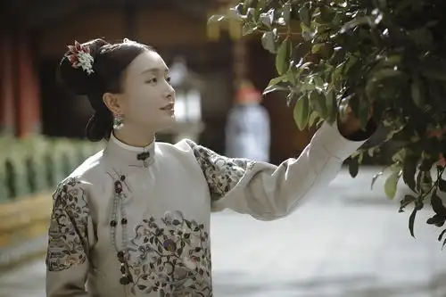 延禧攻略开播秦岚最美古装被评行走的壁纸
