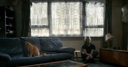 当流浪猫遇到落魄的街头歌者......