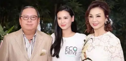 徐子淇为豪门好友庆生,许晋亨侄媳现身,李嘉欣被踢出局
