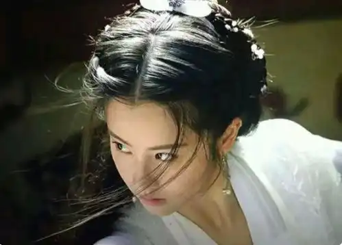 什么流星花园又翻拍了