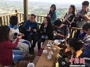 老舍茶馆掌门人茶馆茶香溢着传统文化

