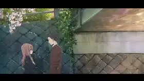 倾城倾国乱世佳人
