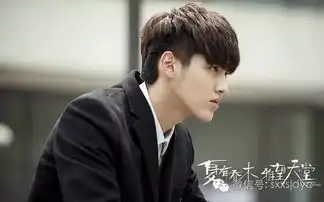 夏有乔木雅望天堂吴亦凡为爱隐忍惹心疼韩庚周元包贝尔演绎青春

