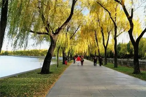 坐落于西堤北面的桥梁,亦是颐和园深处的珍宝,北京界湖桥