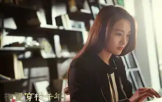 相爱穿梭千年剧照
