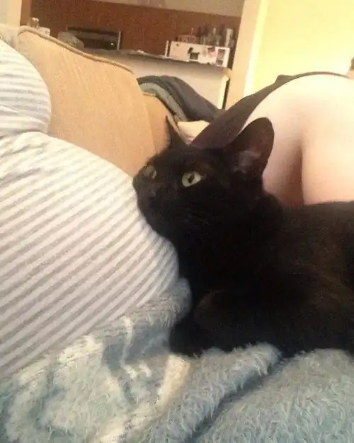 这些毛孩儿守护小主人出生的照片,每一张都能暖化你
