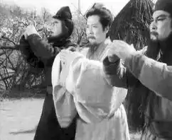 四大名著翻拍成风经典名著重拍的背后