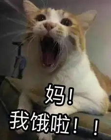 有空一起吃饭不如在家一起做饭