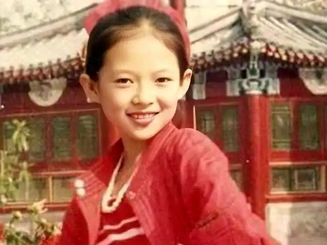 谋女郎章子怡豪门梦破碎成笑柄,下嫁3婚汪峰生下一双儿女