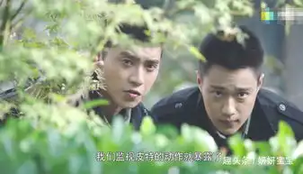 倾城时光马蜂英雄救美,与丽萨一见钟情,丽萨帮厉致诚战胜皮特
