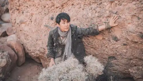 海清时隔五年再演电影,红海行动能否成为春节期间票房黑马