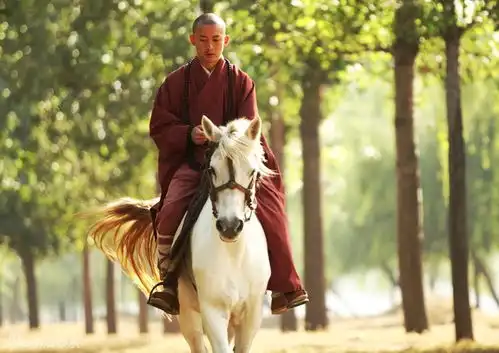 西游记官方剧照曝光女儿国戏份精彩