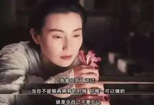 东邪西毒台词里的杯酒人生