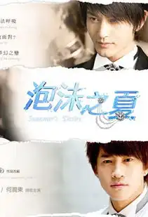 泡沫之夏台湾版剧照