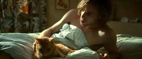 哭崩治愈10万人的mao片主角,走了