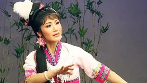 越剧追鱼王志萍全本合集钱惠丽郑国凤
