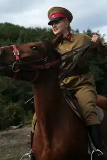 河南卫视我的娜塔莎开播爆红网友评出高分
