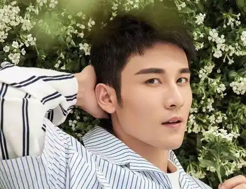 烈火如歌无刀城二公子刀无痕扮演者是谁高阳个人资料背景