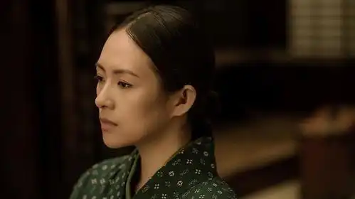 小说罗曼蒂克消亡史中都有哪些电影未提及的情节
