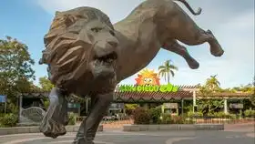 动物园秘辛第一季05美女与野兽
