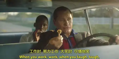 在苦逼的世界寻欢作乐地活着电影绿皮书简评
