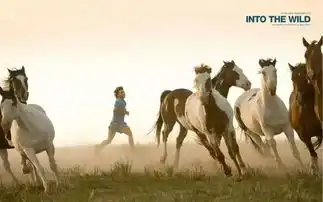 我想去远方过一种全新的人生,可能么观影荒野生存
