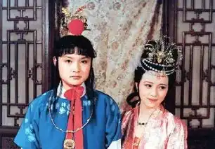 韩雪丽红楼梦中贾宝玉拒绝长大,或者说拒绝面对成人的世界
