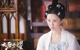 大唐荣耀剧照
