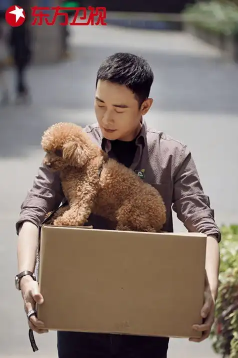 孙俪新剧安家即将开播开了一场云发布会