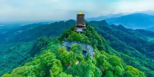 18年,青城山发现稀有咬人铜钱,满口毒牙,全国发现不到30只
