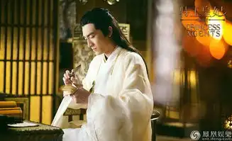 特工皇妃楚乔传首曝剧照赵丽颖解锁女奴模式
