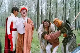 魔幻手机2008年舒畅主演电视剧搜狗百科
