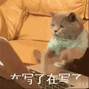学术论文的语言特征是什么
