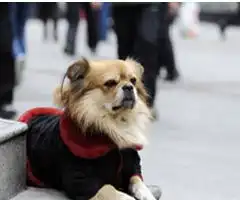 遂宁手机报2月21日晚报版